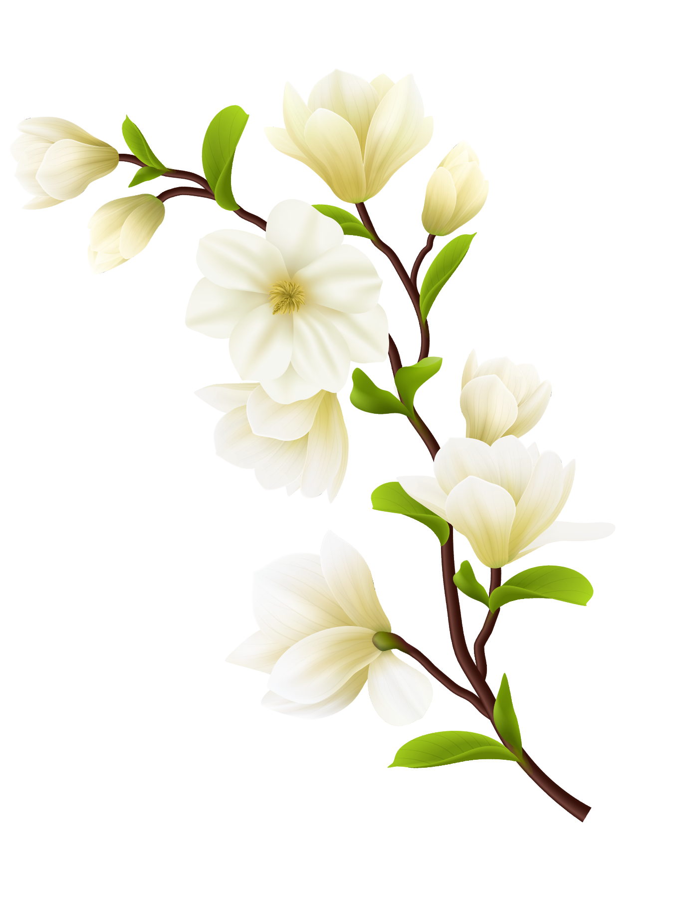 01 Flower 03 Slider