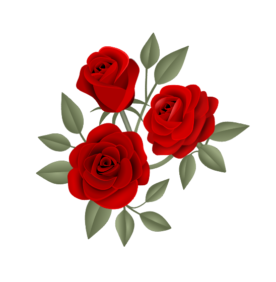 01 Rose
