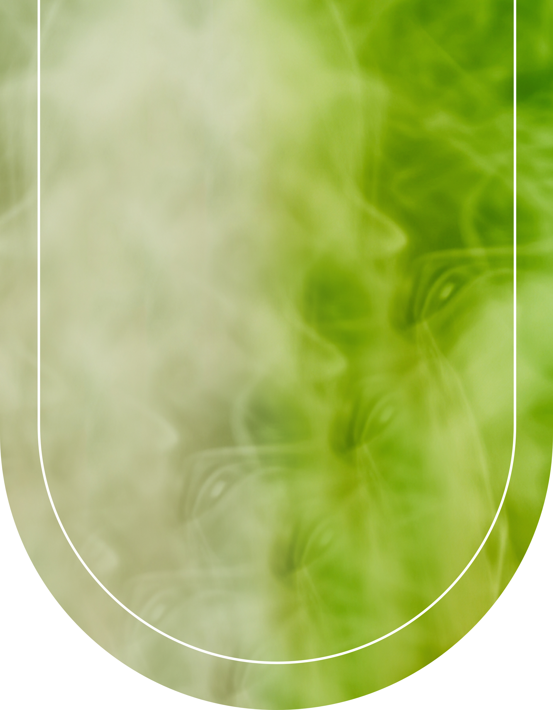 BG 03 Slider